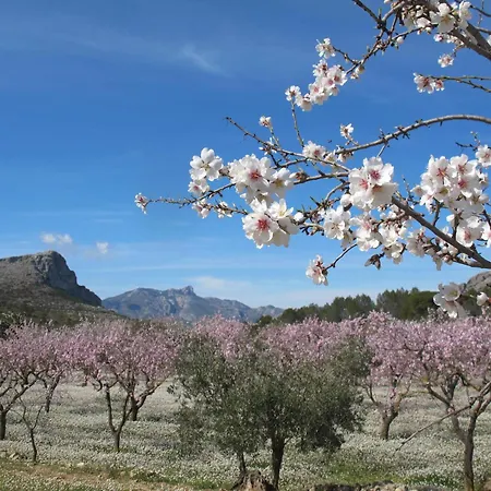 Casa Ceres, Charm And Comfort By The Sea Denia