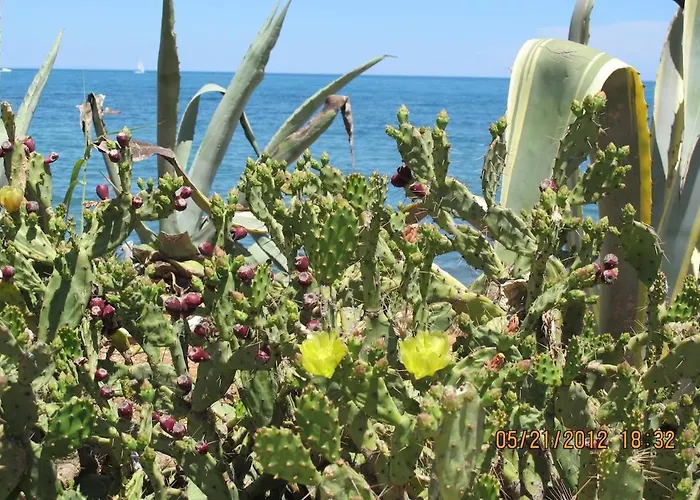 Casa Ceres, Charm And Comfort By The Sea Dénia