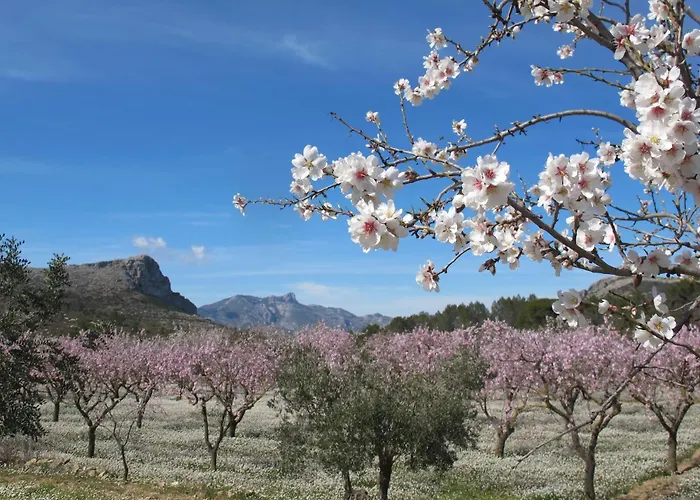 Casa Ceres, Charm And Comfort By The Sea دينايا